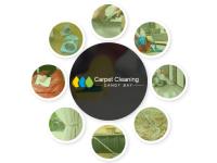 Carpet Cleaning Sandy Bay image 1