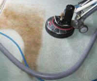 Carpet Cleaning Braddon image 3
