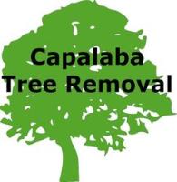 Low Cut Tree Services image 1