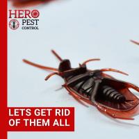 Hero Pest Control Melbourne image 1