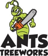 Ants Tree Works image 1