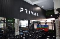 Primal Physiotherapy Camberwell image 14