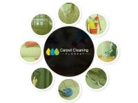 Carpet Cleaning Floreat image 2