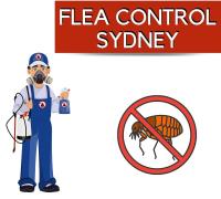 Pest Control Sydney image 9