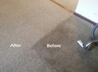 Carpet Cleaning Service in Sydney image 1
