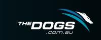 Greyhound Racing New South Wales image 1