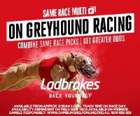 Greyhound Racing New South Wales image 2