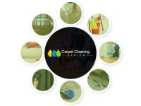 Carpet Cleaning Gawler image 2