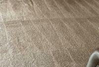 Carpet Cleaning South Yarra image 4