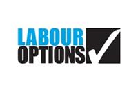 Labour Options image 1