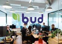 Bud Agency image 5