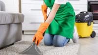 Carpet steam cleaners - Carpet cleaning Whittlesea image 13