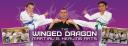 The Winged Dragon Martial & Healing Arts logo