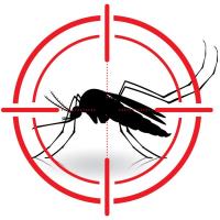 Pest Control Langwarrin image 1