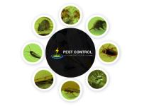 Pest Control Highfields image 1