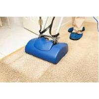 Carpet Cleaning Coorparoo image 1