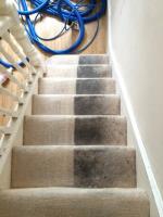 Carpet Cleaning Forest Lake image 5