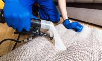Carpet Cleaning Wellington Point image 5