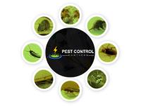 Pest Control Hawthorn image 2