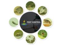 Pest Control Clyde image 2