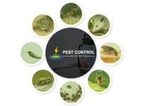 Best Pest Control Mornington image 1