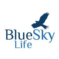 Blue Sky Life image 1