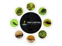 Pest Control Coombs image 3
