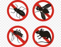 Professional Pest Control Brisbane image 2