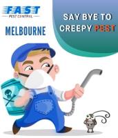 Professional Pest Control Brisbane image 9