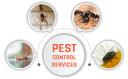 Pest Control Logan logo