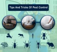 Pest Control Toowoomba image 3