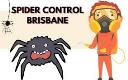 Spider Control Brisbane logo