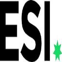 ESI Risk logo