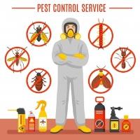 Pest Control Carrara image 3