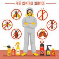 Pest Control Bribie Island image 2