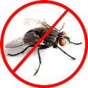 Flies Control Redland logo