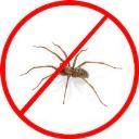 Spider Control Logan logo
