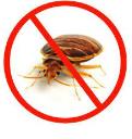 Bedbugs Control Logan logo