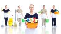 Bay Cleaning Services image 5