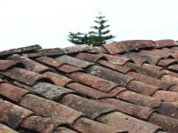 Sydney Roof Repair image 5