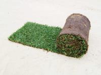 A View Turf image 16