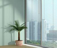 Allcoast Blinds and Shutters image 12