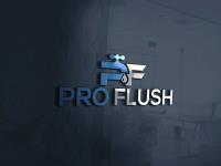 Pro Flush image 1