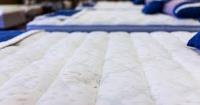 Professional Mattress Cleaning Adelaide image 5