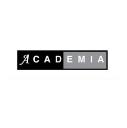 Academia Institute logo