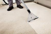 Fresh carpet cleaning image 14