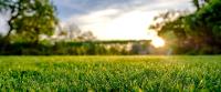 Grass That Lasts | Artificial Grass Gold Coast image 2