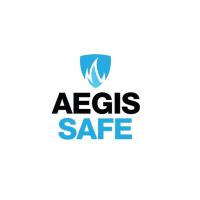 Aegis Safe image 3