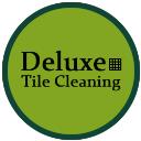 Tile And Grout Cleaning Sydney logo