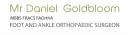 Daniel Goldbloom Pty Ltd logo